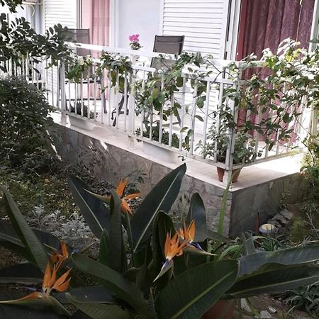 Dreamhouse Διαμέρισμα Ναύπακτος Εξωτερικό φωτογραφία