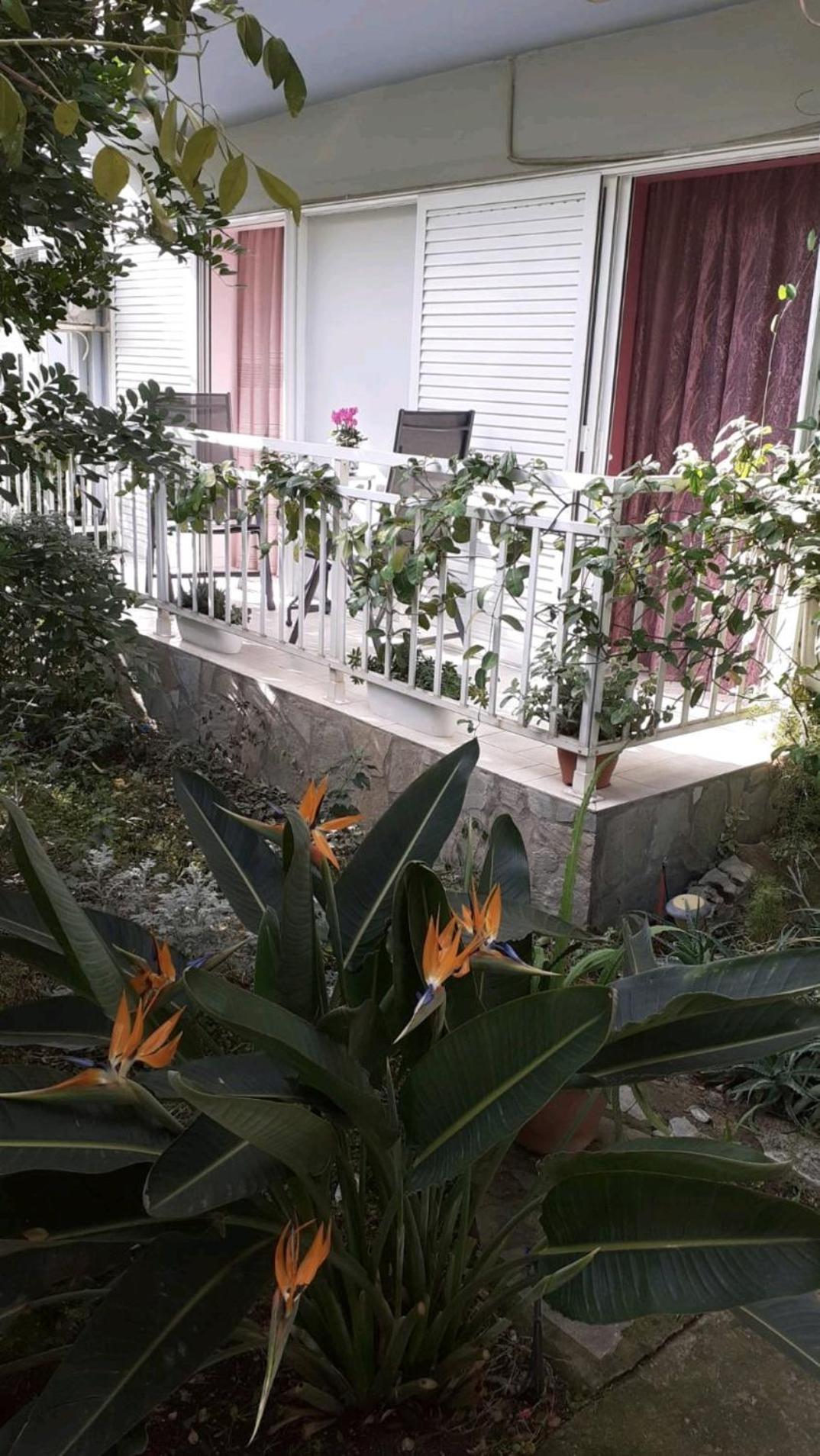 Dreamhouse Διαμέρισμα Ναύπακτος Εξωτερικό φωτογραφία